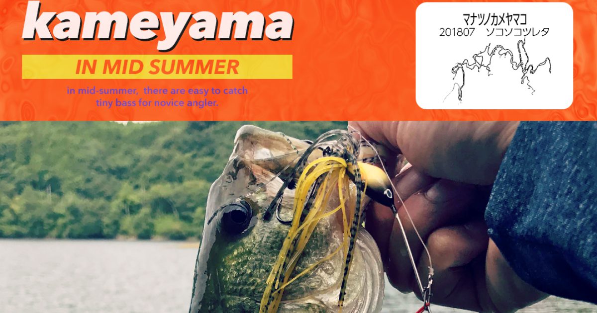 【亀山湖】真夏のカメヤマはそこそこ釣れた！9尾ゲット