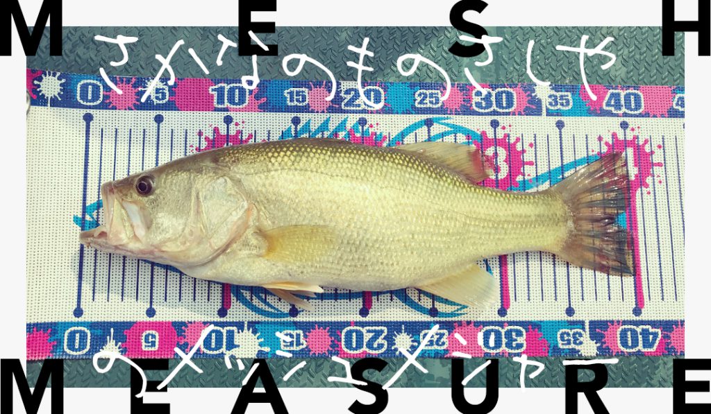 さかなのものさしやメッシュメジャー
