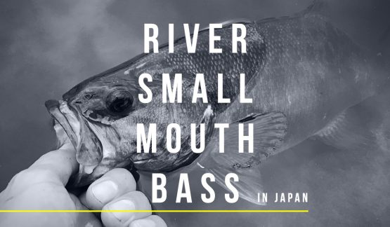 日本の川のスモールマウスバスを釣るということ