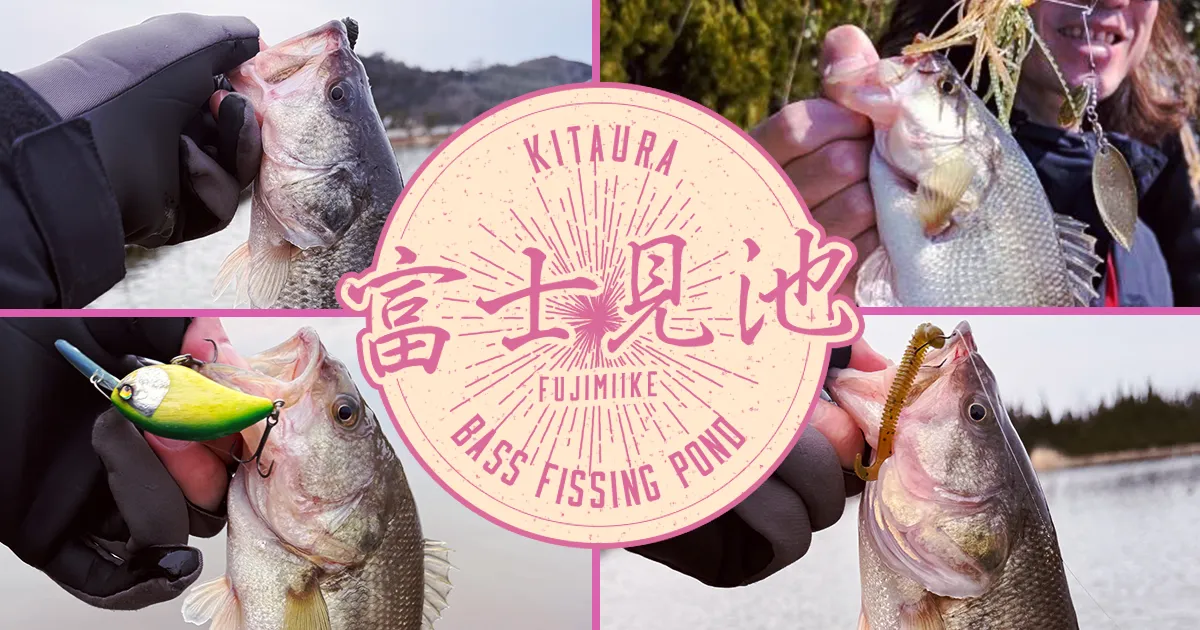 今年の初バス釣ってきた【富士見池】 – Riverside Depression