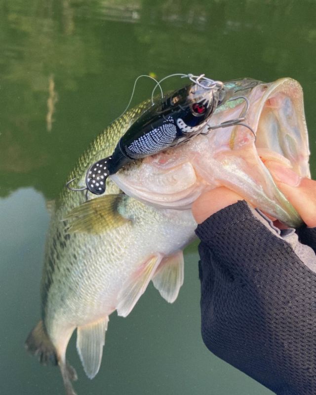 Megabass LEVANTE メガバスレヴァンテ F7-72LV2P LEVANTE(レヴァンテ) JP(2019) F3-67LV ロッド | Megabass