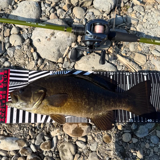 テレキャスト　telecast セット　68M + 64L AnglingBASS】半年待ったテレキャストTC-68M+【LEGIT DESIGN