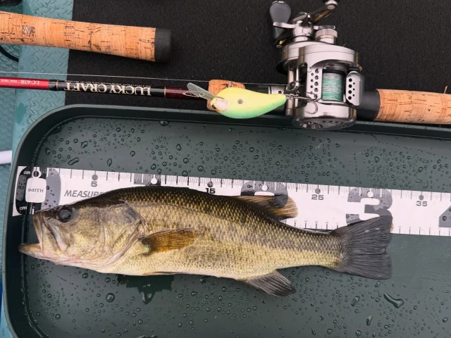 AnglingBASS】半年待ったテレキャストTC-68M+【LEGIT DESIGN